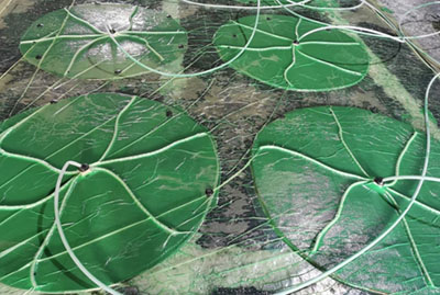 ����䓻��S��